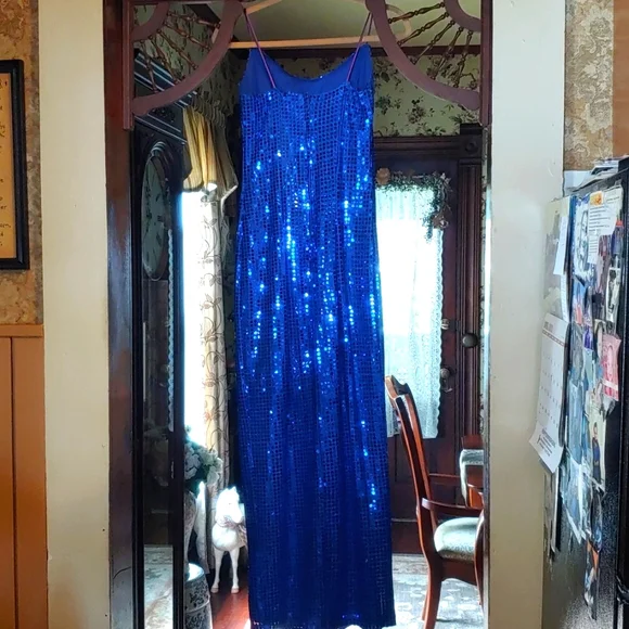 Gorgeous Dress!! - Picture 6 of 9